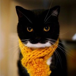 Meet your Posher, Atsui